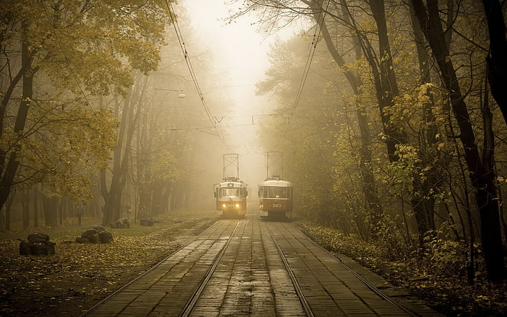 città, Russia, tram, nebbia, Sfondo HD