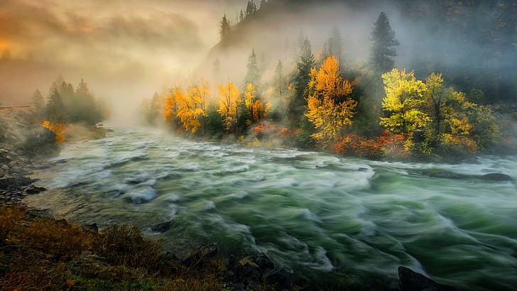 가을, 나무, 안개, 강, 아침, 워싱턴 주, 워싱턴, Wenatchee River, Река Уэнатчи, HD 배경 화면