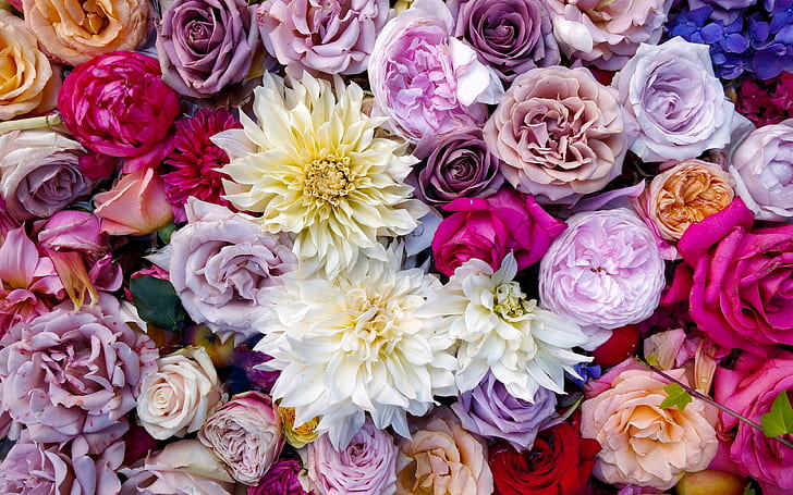 colorful, flowers, bouquet, roses, composition, multicolored, Dahlia's, U, HD wallpaper