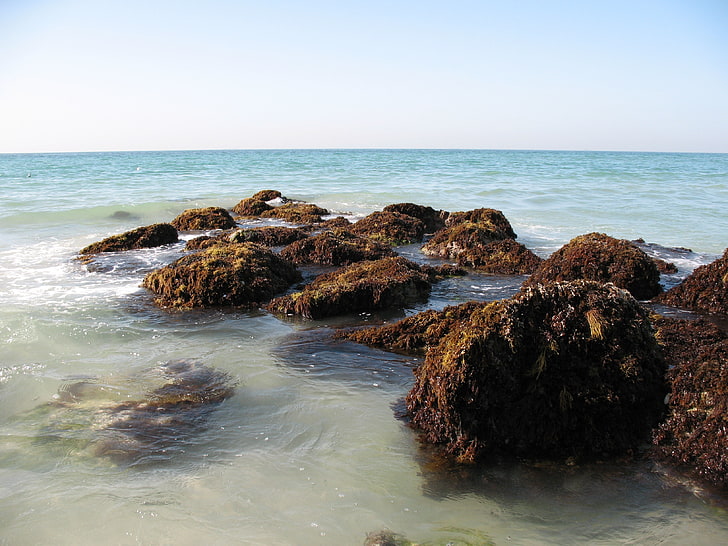roca marrón, golfo Pérsico, emiratos árabes unidos, dubai, mar, playa, rocas, olas, Fondo de pantalla HD