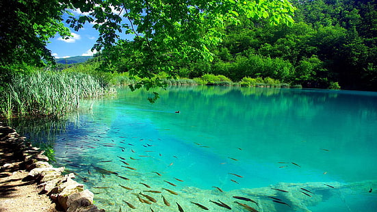 Plitvice Gölleri Milli Parkı, Hırvatistan 75903, HD masaüstü duvar kağıdı HD wallpaper