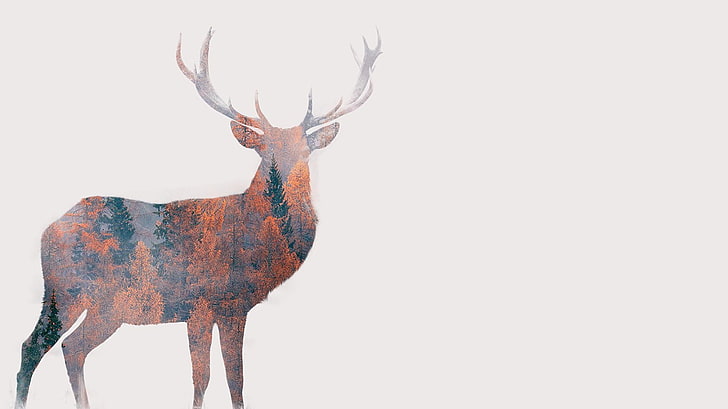 鹿の絵、茶色と黒の鹿、デジタルアート、動物、シンプルな背景、鹿、白い背景、枝角、二重露光、自然、木、森、秋、 HDデスクトップの壁紙