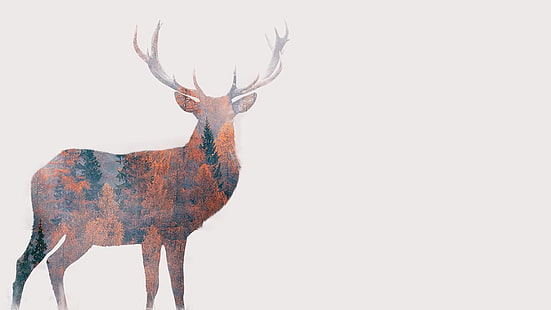 pintura de ciervo, ciervo marrón y negro, arte digital, animales, fondo simple, ciervo, fondo blanco, cuernos, doble exposición, naturaleza, árboles, bosque, otoño, Fondo de pantalla HD HD wallpaper