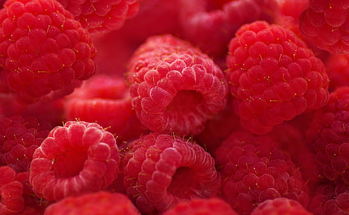 Raspberries Macro HD Wallpaper, фрукты малины, еда и напитки, фрукты, свежие, макро, органические, экология, малина, малина, десерт, спелые, здоровые, диета, питание, витамины, веганский, HD обои HD wallpaper