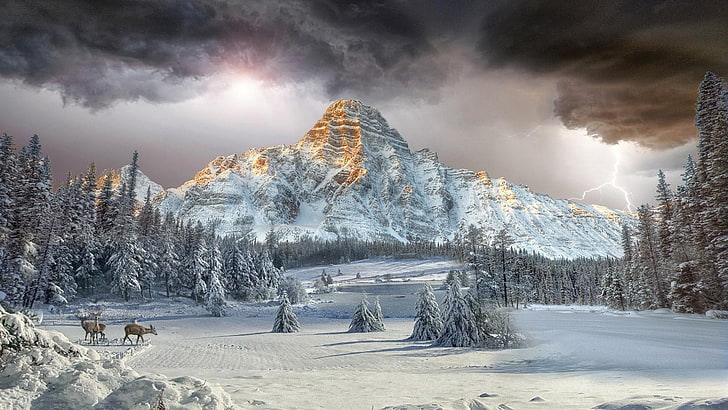 bergskedja, konstverk, konst, konstnärlig, morgon-, fenomen, rådjur, snö, frost, vinter, träd, berg, frysning, blixt, moln, natur, snö, himmel, HD tapet