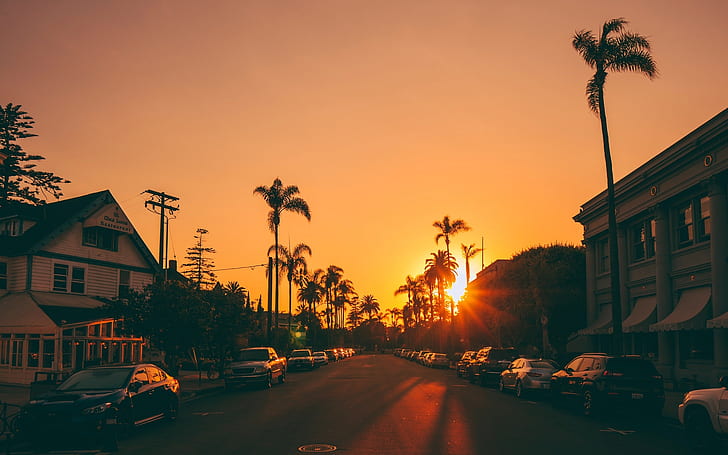 city, road, palm trees, Sun, sunset, HD wallpaper