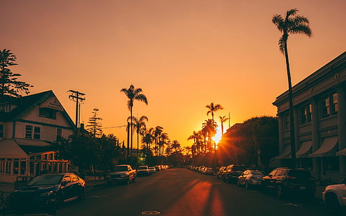 cidade, estrada, palmeiras, sol, pôr do sol, HD papel de parede HD wallpaper