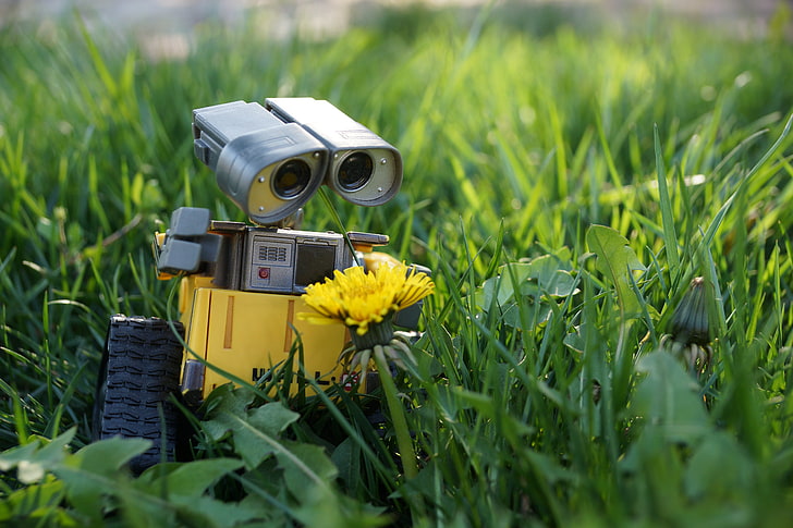 Wall-E robot, wall-e, robot, grass, flower, HD wallpaper