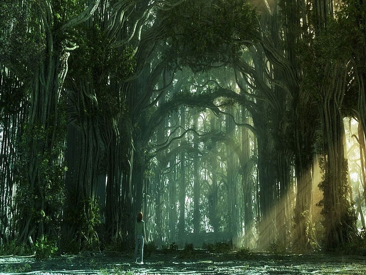 beberapa pohon, seni fantasi, hutan, wanita, sendirian, Wallpaper HD