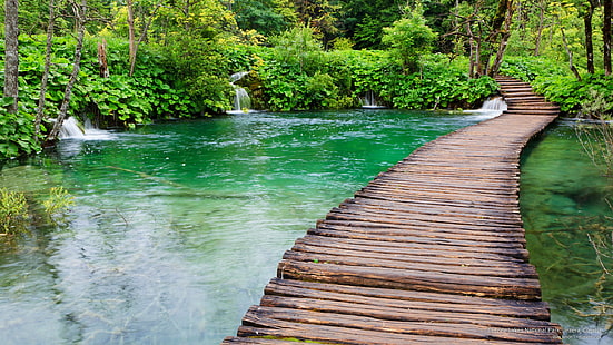 Parc national des lacs de Plitvice, Jezera, Croatie, Parcs nationaux, Fond d'écran HD HD wallpaper