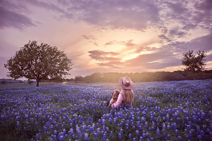 campo, el cielo, árboles, puesta de sol, flores, perro, sombrero, niña, altramuces, Fondo de pantalla HD