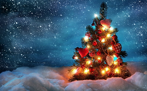 luci, notte, neve, vacanze, inverno, albero di natale, freddo, luci, notte, neve, freddo, inverno, albero di natale, Sfondo HD HD wallpaper