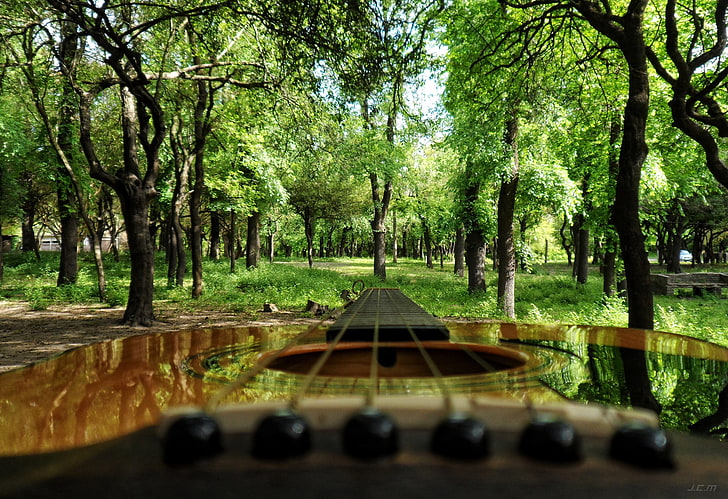 brunt och grönt trähus, Uruguay, gitarr, musikinstrument, HD tapet