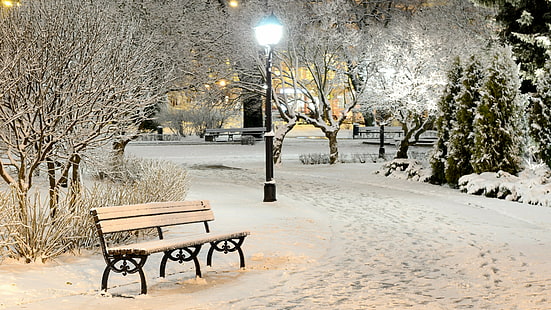 bench, park, street lights, streetlight, snow, winter, snowy, freezing, tree, frost, branch, HD wallpaper HD wallpaper