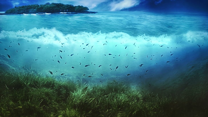 air, laut, bawah air, ikan, laut, ikan, langit, ombak, karang, tenang, ombak, Wallpaper HD