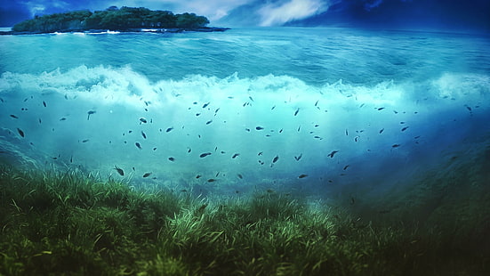 agua, mar, bajo el agua, pescado, océano, peces, cielo, ola, arrecife, calma, onda de viento, Fondo de pantalla HD HD wallpaper