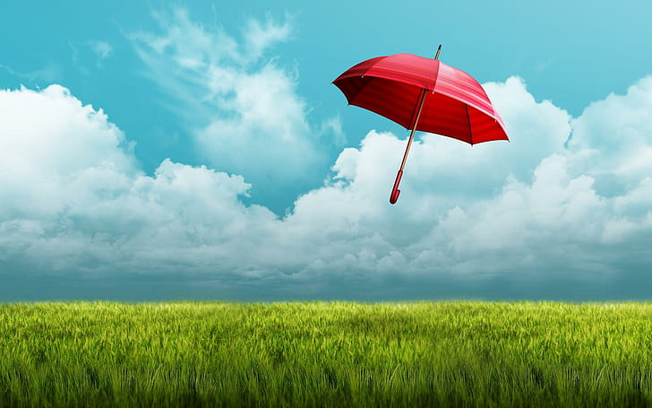 Regenschirm Felder, Felder, Regenschirm, HD-Hintergrundbild