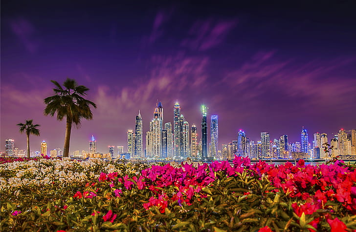 Skyscrapers, Dubai, Nightscape, 4K, HD wallpaper