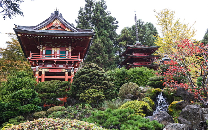 храм красной пагоды, япония, пагода, павильон, красные листья, архитектура, азиатская архитектура, кусты, HD обои
