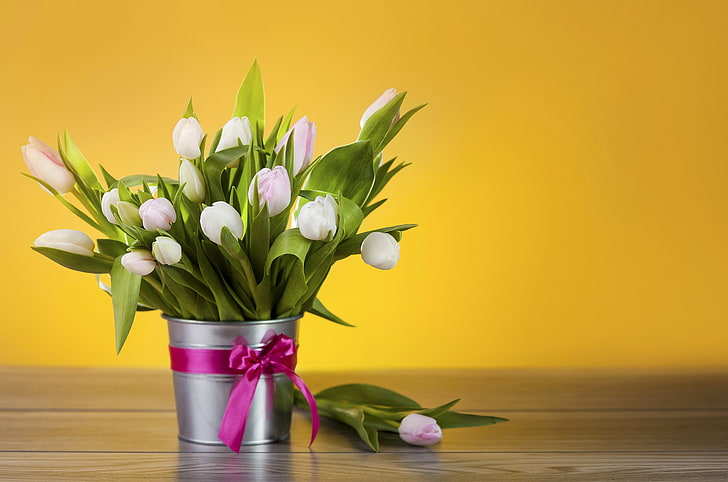 white flowers, flowers, bucket, tulips, white, bow, HD wallpaper