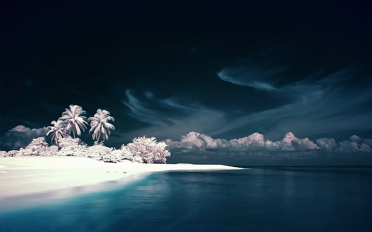 CGI, manipolazione fotografica, paesaggio, spiaggia, natura, Paradiso persiano, arte digitale, palme, nuvole, isola, mare, Sfondo HD