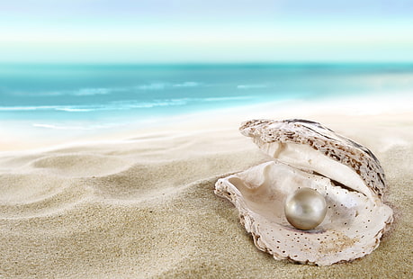 carta da parati perla e mare, sabbia, mare, spiaggia, conchiglia, spiaggia, conchiglia, perla, perl, Sfondo HD HD wallpaper