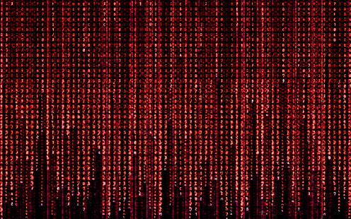 красная матрица иллюстрации, Матрица, код, красный, фильмы, HD обои HD wallpaper