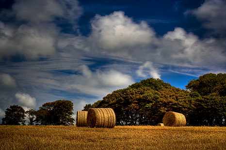 hay bale on brown grass near green trees under blue sky and white clouds, Hay Bale, HDR, brown, grass, green, trees, blue sky, white clouds, hay  bale, harvest, cornwall, canon  350d, bale, agriculture, hay, nature, rural Scene, field, farm, summer, landscape, harvesting, sky, outdoors, yellow, crop, straw, landscaped, wheat, scenics, gold Colored, autumn, non-Urban Scene, meadow, cloud - Sky, blue, HD wallpaper HD wallpaper