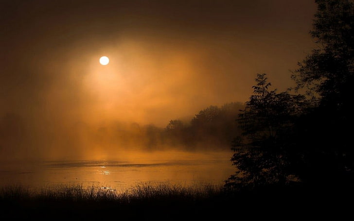Mondschein während der goldenen Stunde, Mondschein, Nebel, See, Natur, Slowenien, Bäume, Sträucher, Landschaft, Dunkelheit, Wasser, HD-Hintergrundbild