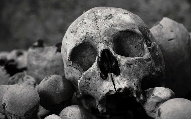 Skull bones HD wallpapers free download | Wallpaperbetter