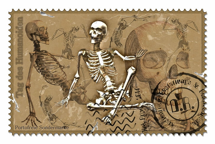 Man Made, Stamp, Dark, German, Skeleton, Skull, HD wallpaper