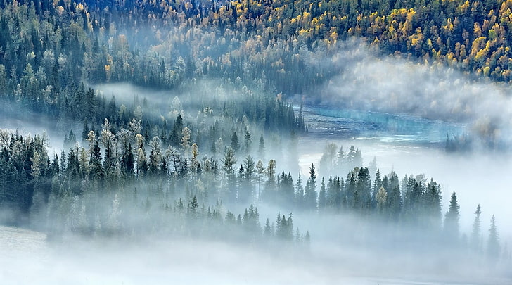 Foto de gran angular del bosque, bosque nevado, paisaje, naturaleza, niebla, río, bosque, otoño, mañana, árboles, luz solar, China, Fondo de pantalla HD