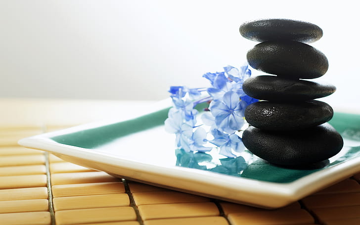 Zen, piedras, flores azules, conjunto de decoración de mesa de piedra negra, zen, piedras, flores azules, Fondo de pantalla HD