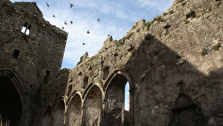 chiesa, abbandonata, Irlanda, cattedrale, Rocca di Cashel, Sfondo HD