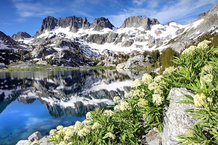 flowers, mountains, lake, reflection, CA, California, Minarets, Ediza Lake, Ansel Adams Wilderness, HD wallpaper