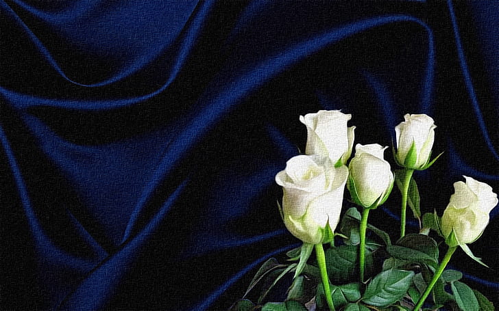 bunga, latar belakang gelap, rendering, kolase, gambar, gambar, kanvas, mawar putih, lipatan kain, sutra biru, Wallpaper HD