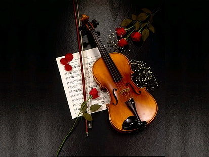 violín, Fondo de pantalla HD HD wallpaper