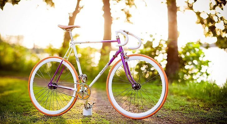 Spring Bike Ride, white and purple road bicycle, Seasons, Spring, Green, Sunshine, Trees, Bicycle, Outdoors, Springtime, bokeh, HD wallpaper