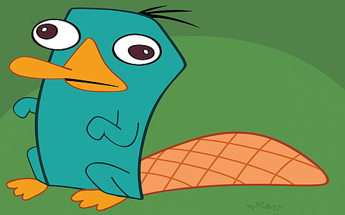 Perry l'ornitorinco, l'agente P., Phineas e Ferb, l'ornitorinco, Sfondo HD HD wallpaper
