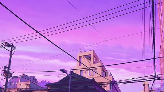  purple sky, wires, HD wallpaper HD wallpaper