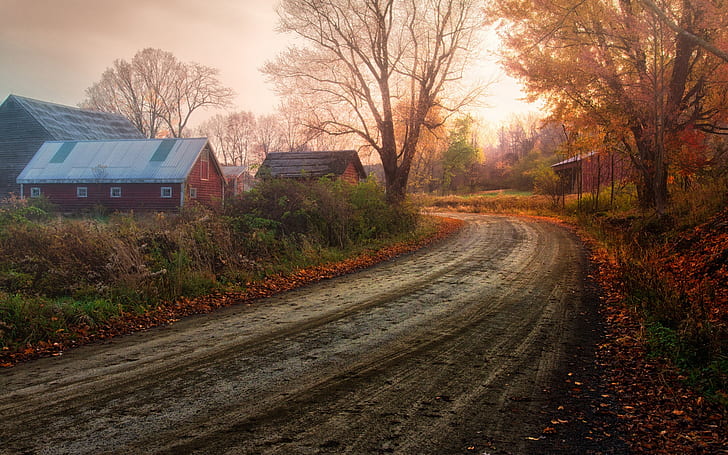 幻想的な風景、秋の田舎、木紅葉、道路、家、幻想的な、風景、秋、田舎、木、赤、葉、道路、家、 HDデスクトップの壁紙