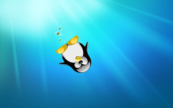pingvinillustration, pingvin, linux, bakgrundsbilder, HD tapet