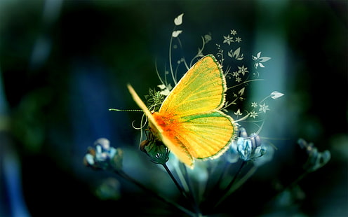 Art design yellow butterfly, Arte, Diseño, Amarillo, Mariposa, Fondo de pantalla HD HD wallpaper