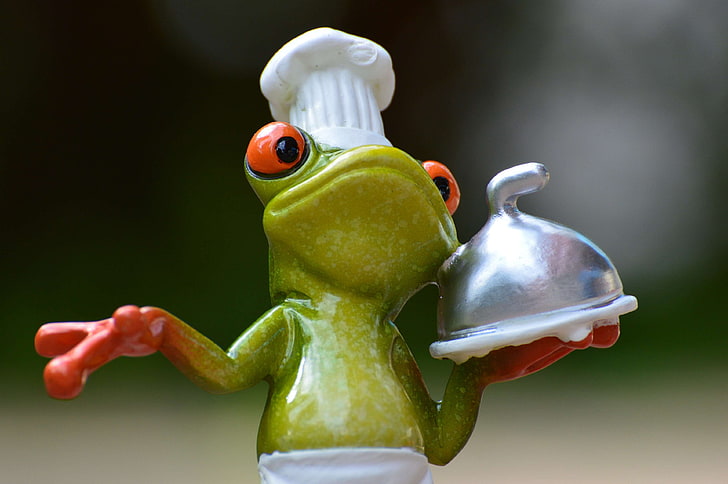 cute, display, figurine, frog, frog chef, funny, gourmet, kitchen, HD wallpaper