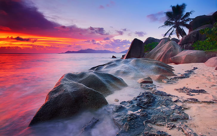 Seychelles, La Digue Island, Indian Ocean, sea, stones, palm trees, sunset, Seychelles, Island, Indian, Ocean, Sea, Stones, Palm, Trees, Sunset, HD wallpaper