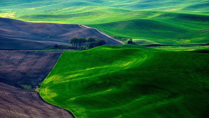 Dreamy Green Fields, landscape, background, hills, roads, countryside, HD wallpaper