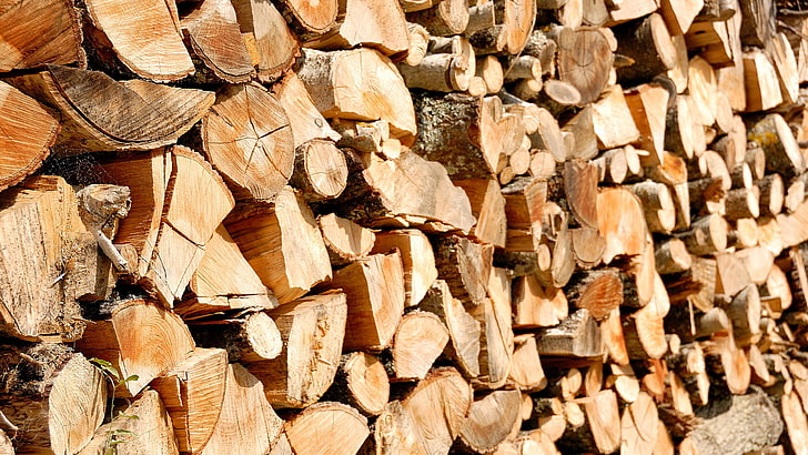 lotto di tronchi tritati, macro, sfondo, legno, Sfondo HD
