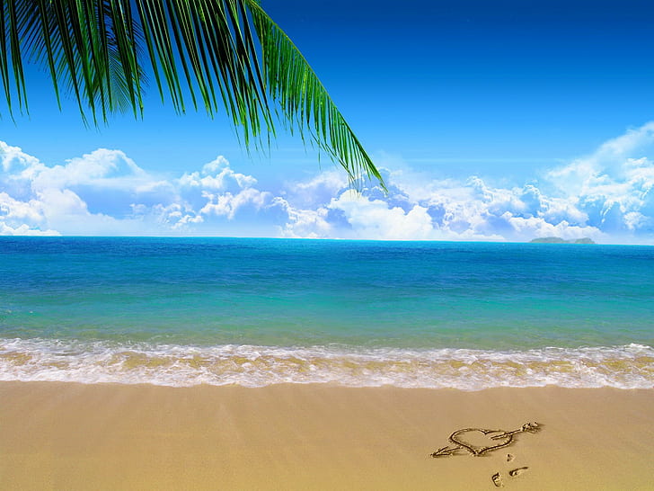 isola, sabbia, spiaggia, palme, mare, Sfondo HD