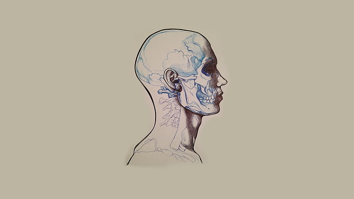 painting of head, skull, minimalism, artwork, HD wallpaper