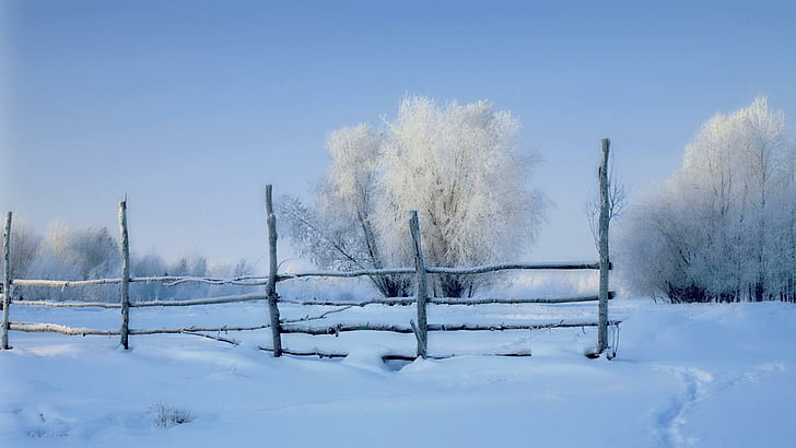 朝の雪、雪のフェンス、木、冬景色、朝の雪、雪のフェンス、木、冬景色、 HDデスクトップの壁紙